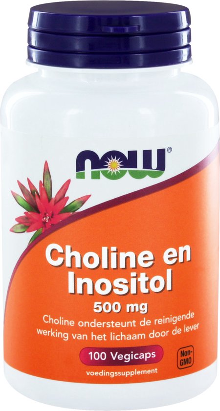 Now Foods - Choline en Inositol - 250 mg Choline en 250 mg Inositol per dosering - 100 Capsules - Now Foods