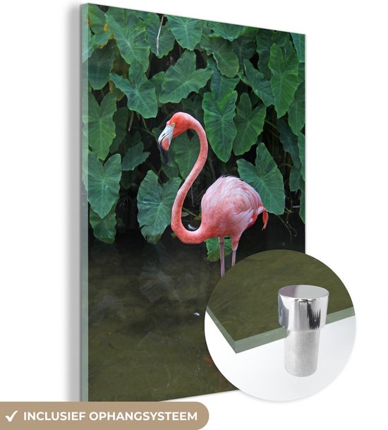 - Een flamingo