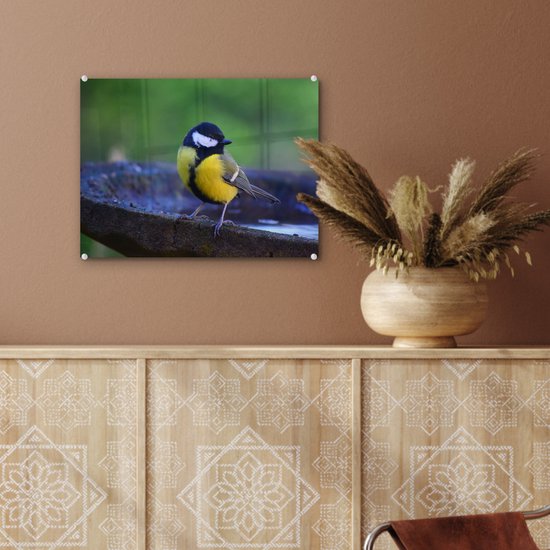 MuchoWow® Peinture sur verre 40x30 cm - Peinture sur verre acrylique - Mésange charbonnière sur un bain d'oiseaux en granit - Photo sur verre - Peintures