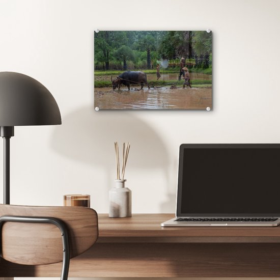 MuchoWow® Peinture sur verre 30x20 cm - Peinture sur verre acrylique - Un agriculteur asiatique laboure sa terre avec un bœuf - Photo sur verre - Peintures