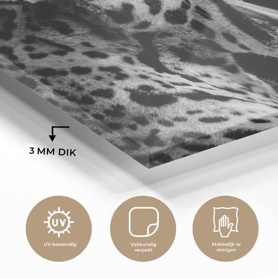 Peinture sur verre - Jaguar - Animal - Zwart - Wit - 60x40 cm - Peintures Plexiglas