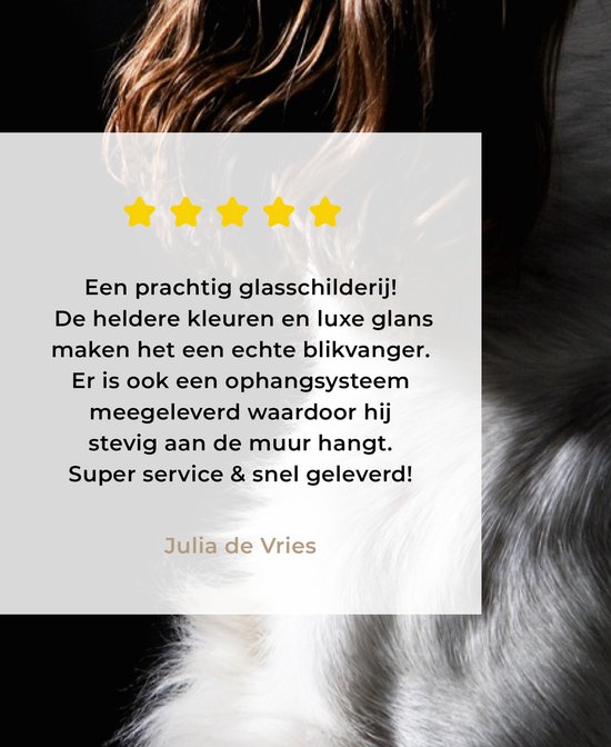 MuchoWow® Peinture sur verre 120x180 cm - Peinture sur verre acrylique - Épagneul Springer sur fond noir - Photo sur verre - Peintures