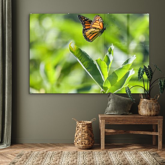 MuchoWow® Peinture sur verre 150x100 cm - Peinture sur verre acrylique - Papillon monarque volant - Photo sur verre - Peintures