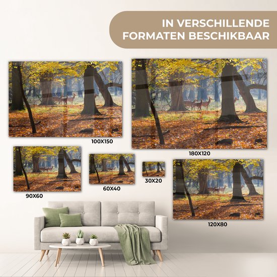 ® Glasschilderij 60x40 cm - Schilderij acrylglas - Herten in een bos in Denemarken - Foto op glas - Muurdecoratie woonkamer - Wanddecoratie slaapkamer - Schilderijen