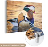 MuchoWow® Peinture sur verre - Canard - Water - Animal - 180x120 cm - Peintures sur verre acrylique - Photo sur Glas