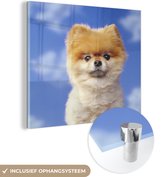 MuchoWow® Glasschilderij 90x90 cm - Schilderij acrylglas - Puppy van dichtbij - Foto op glas - Schilderijen