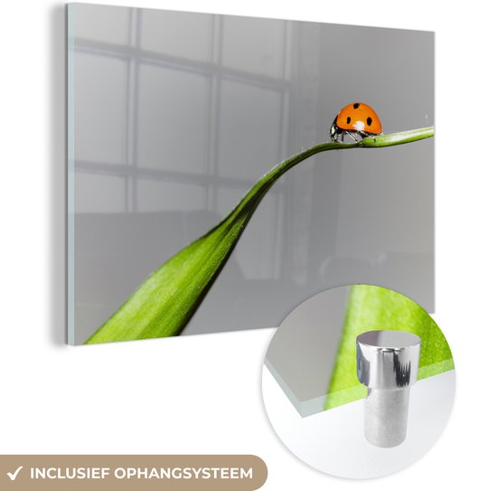 MuchoWow® Glasschilderij 90x60 cm - Schilderij acrylglas - Lente lieveheersbeestje op gras - Foto op glas - Schilderijen