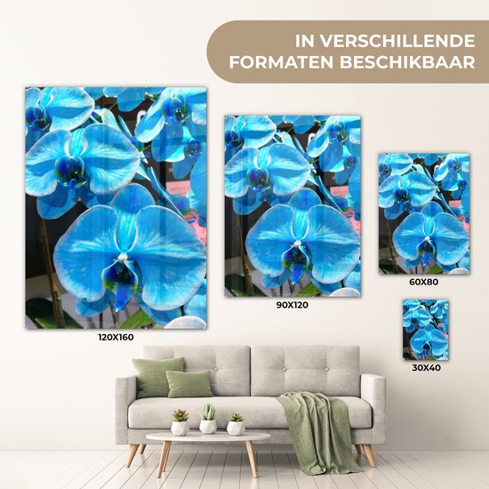 MuchoWow® Peinture sur Verre - Orchidées Bleues avec une couleur pénétrante - 90x120 cm - Peintures sur Verre Acrylique - Photo sur Glas