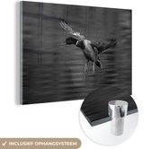 MuchoWow® Glasschilderij 30x20 cm - Schilderij acrylglas - Een wilde eend landt in het water - zwart wit - Foto op glas - Schilderijen