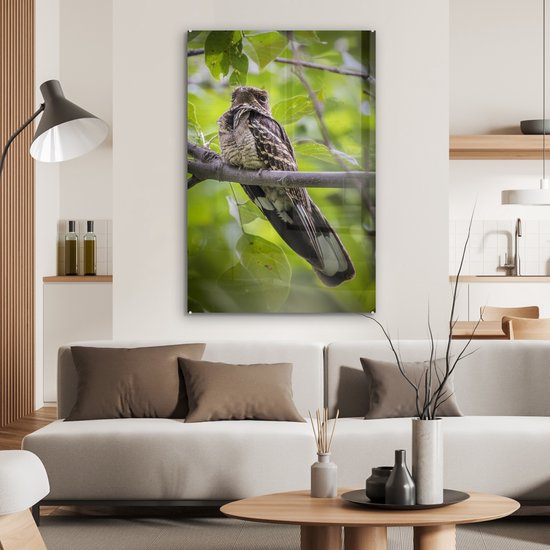 Engoulevent perché sur une branche en plexiglas 60x90 cm - Tirage photo sur Glas (décoration murale en plexiglas)