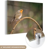 MuchoWow® Glasschilderij 120x80 cm - Schilderij acrylglas - Roodborstje - Vogel - Natuur - Foto op glas - Schilderijen