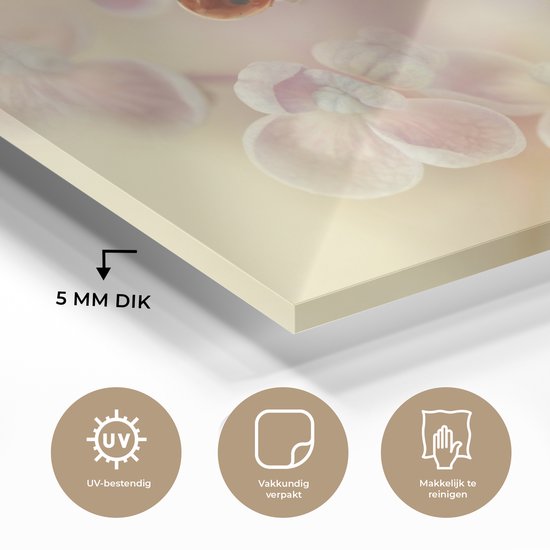 MuchoWow® Peinture sur Verre - Fleurs - Pétales - Coccinelle - 150x100 cm - Peintures sur Verre Peintures - Photo sur Glas