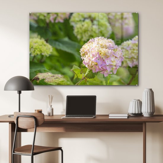 MuchoWow® Glasschilderij 120x80 cm - Schilderij glas - Roze hortensia in de zon - Foto op acrylglas - Schilderijen - MuchoWow