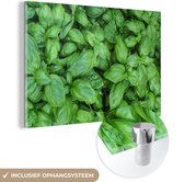MuchoWow® Glasschilderij 90x60 cm - Schilderij acrylglas - Close-up van basilicum planten - Foto op glas - Schilderijen