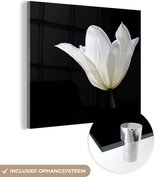 MuchoWow® Glasschilderij 90x90 cm - Schilderij acrylglas - Witte tulp - Foto op glas - Schilderijen