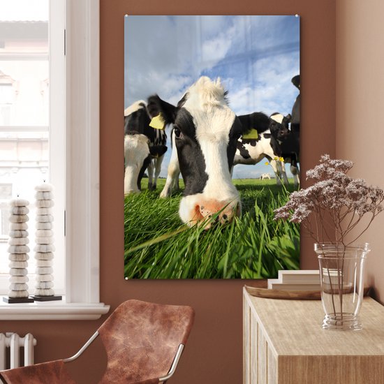 Gros plan d'une vache frisonne broutant Plexiglas 60x90 cm - Tirage photo sur Glas (décoration murale en plexiglas)