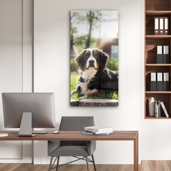 MuchoWow® Peinture sur verre 60x120 cm - Peinture sur verre - Rayons de soleil le long du bouvier Berner - Photo sur verre acrylique - Peintures