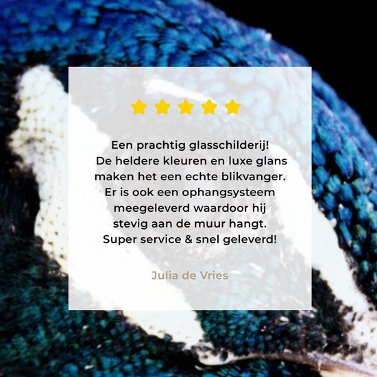 ® Glasschilderij 90x90 cm - Schilderij acrylglas - Pauw - Dier - Blauw - Foto op glas - Muurdecoratie woonkamer - Wanddecoratie slaapkamer - Schilderijen