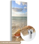 MuchoWow® Glasschilderij 40x80 cm - Schilderij acrylglas - Schelp - Zee - Lucht - Foto op glas - Schilderijen