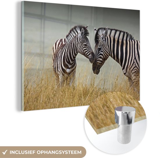 MuchoWow® Glasschilderij 90x60 cm - Schilderij acrylglas - Moeder zebra en haar jong - Foto op glas - Schilderijen