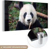 MuchoWow® Glasschilderij 120x60 cm - Schilderij acrylglas - Panda - Bamboe - Natuur - Foto op glas - Schilderijen