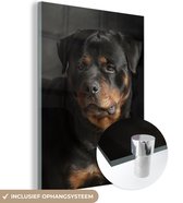 MuchoWow® Glasschilderij 90x120 cm - Schilderij acrylglas - Portret van Rottweiler hond in de studio - Foto op glas - Schilderijen