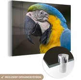 Tirage photo ara Blauw et jaune sur Glas 60x40 cm - Tirage photo sur Glas (décoration murale en plexiglas)