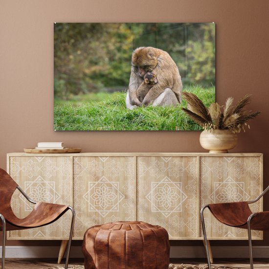 MuchoWow® Peinture sur verre 120x80 cm - Peinture sur verre acrylique - Singe - Jeune - Herbe - Photo sur verre - Peintures