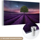 MuchoWow® Glasschilderij 80x40 cm - Schilderij acrylglas - Lavendel - Boom - Paars - Foto op glas - Schilderijen