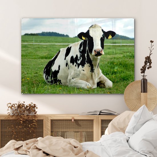 Vache frisonne au repos sur un pâturage vert Plexiglas 120x80 cm - Tirage photo sur Glas (décoration murale en plexiglas)