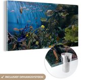 MuchoWow® Glasschilderij 160x80 cm - Schilderij acrylglas - Levendige onderwaterwereld - Foto op glas - Schilderijen
