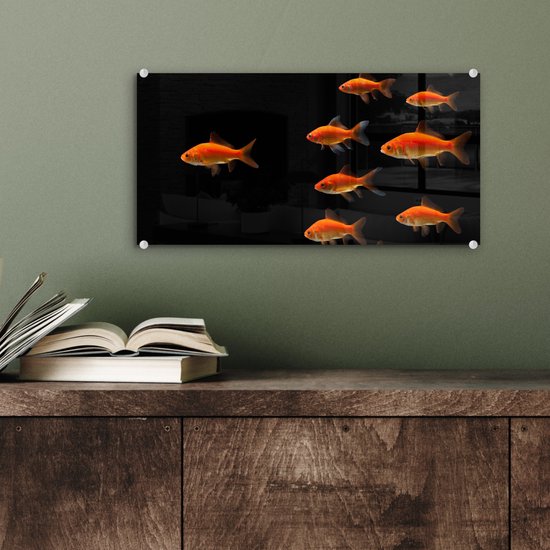 MuchoWow® Peinture sur verre 40x20 cm - Peinture sur verre acrylique - Poisson rouge - Animaux - Zwart - Photo sur verre - Peintures