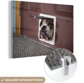 Peinture sur Verre - Chien - Drôle - Chatière - Laisses pour chats cm - Peintures sur Verre Peintures - Photo sur Glas