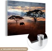 MuchoWow® Glasschilderij 60x40 cm - Schilderij acrylglas - Olifant - Boom - Berg - Afrika - Foto op glas - Schilderijen