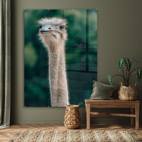 ® Glasschilderij 120x160 cm - Schilderij acrylglas - Close-up van een struisvogel - Foto op glas - Muurdecoratie woonkamer - Wanddecoratie slaapkamer - Schilderijen