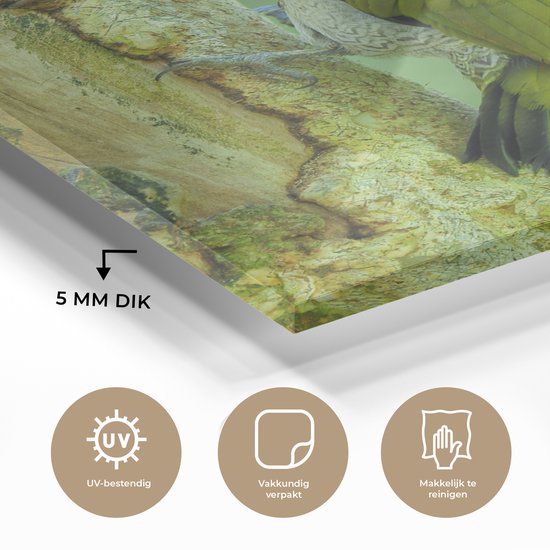 MuchoWow® Peinture sur verre 100x150 cm - Peinture sur verre acrylique - Un beau pic terrestre à fourrure jaune grimpe verticalement sur un arbre - Photo sur verre - Peintures