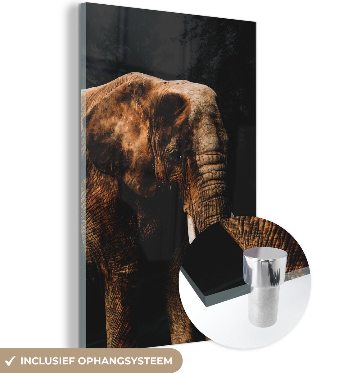 ® Glasschilderij 80x120 cm - Schilderij acrylglas - Olifant - Zwart - Verf - Foto op glas 