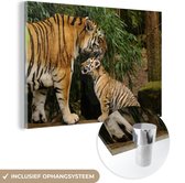 MuchoWow® Glasschilderij 180x120 cm - Schilderij acrylglas - Dieren - Tijgers - Bos - Foto op glas - Schilderijen