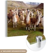 MuchoWow® Glasschilderij 160x120 cm - Schilderij acrylglas - Alpaca - Lama - Peru - Foto op glas - Schilderijen