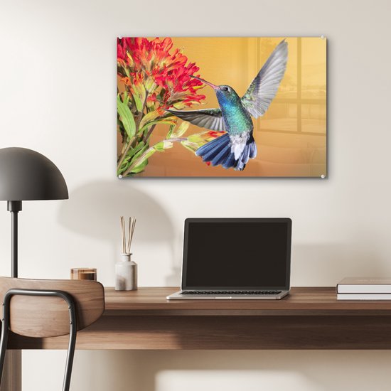 Colibri aux couleurs vives à côté d'une belle fleur rouge Plexiglas 60x40 cm - Tirage photo sur Glas (décoration murale en plexiglas)