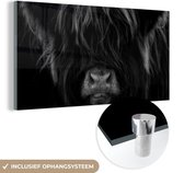 MuchoWow® Peinture sur verre - Highlander écossais - Vache - Zwart - Wit - Portrait - 120x60 cm - Peintures sur verre acrylique - Photo sur Glas