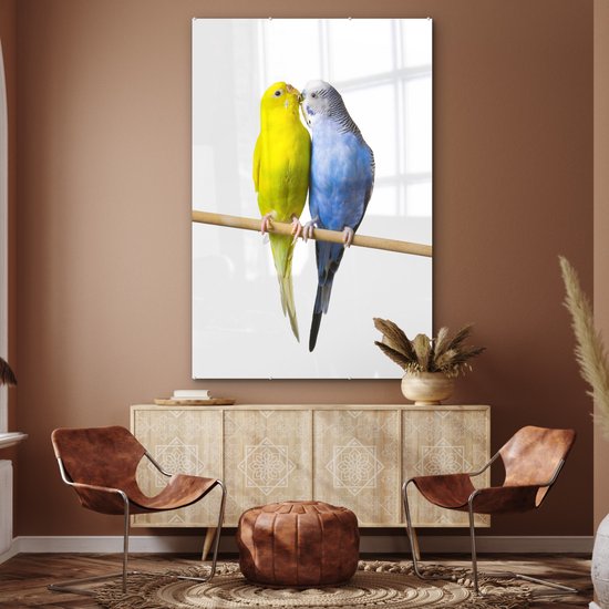 MuchoWow® Tableau sur Verre - Deux perruches aimantes sur fond blanc - 120x180 cm - Peintures sur Verre Acrylique - Photo sur Glas