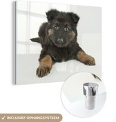 MuchoWow® Glasschilderij 120x90 cm - Schilderij acrylglas - Duitse herder pup op witte achtergrond - Foto op glas - Schilderijen