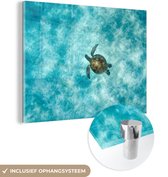 MuchoWow® Glasschilderij 80x60 cm - Schilderij acrylglas - Schildpad in de zee - Foto op glas - Schilderijen