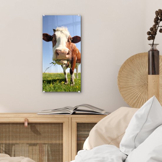 Peinture sur Verre - Vache - Animal - Fleurs - 20x40 cm - Peintures sur Verre Peintures - Photo sur Glas