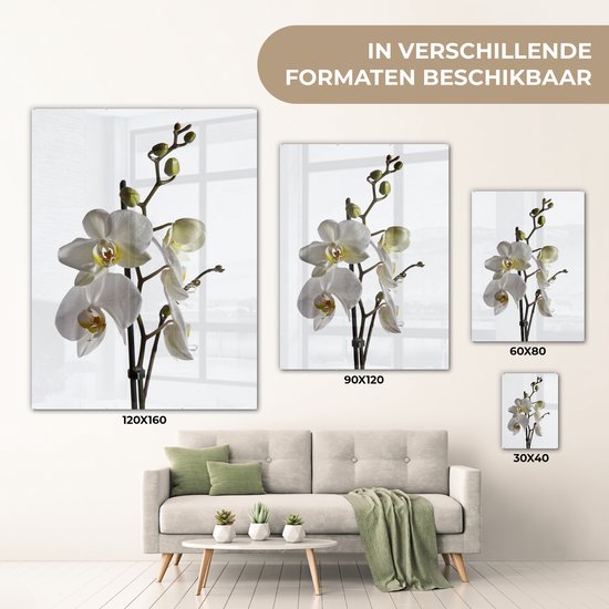 Peinture sur Verre - Orchidée Witte - 60x80 cm - Peintures sur Verre Peintures - Photo sur Glas