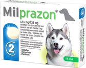 Milprazon Hond Groot 2 tabletten