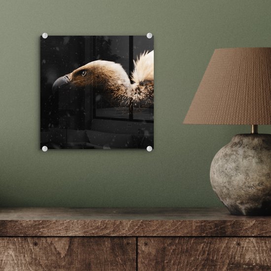 MuchoWow® Peinture sur verre 20x20 cm - Peinture acrylique sur verre - Vautour - Wit - Zwart - Photo sur verre - Peintures