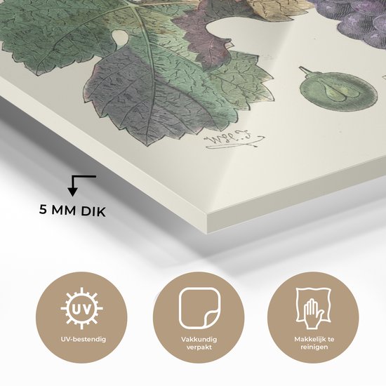 MuchoWow® Peinture sur Verre - Une Illustration de Raisins sur une Vigne - 80x60 cm - Peintures sur Verre Peintures - Photo sur Glas