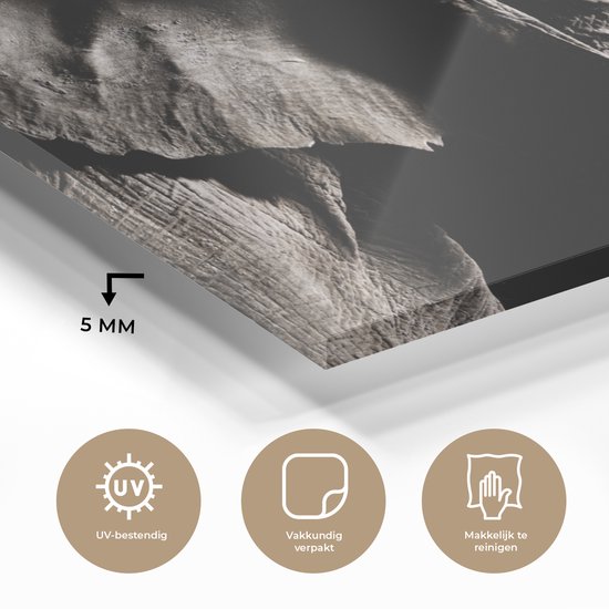 MuchoWow® Peinture sur verre 150x100 cm - Peinture sur verre acrylique - Éléphant - Zwart - Animaux - Nature - Photo sur verre - Peintures